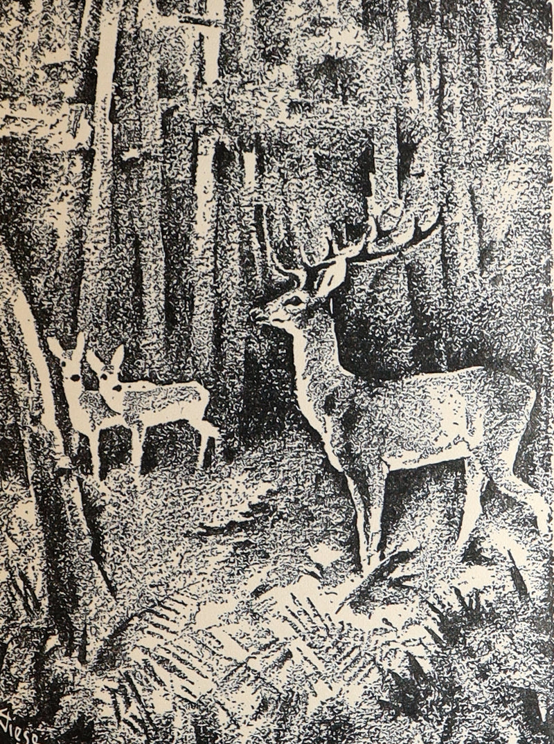 1928 Rare First Edition - BAMBI a Life in the Woods by Felix Salten, Illustrated