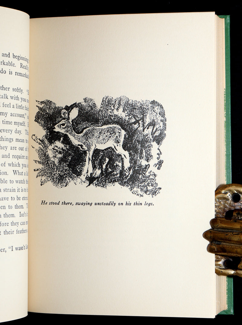 1928 Rare First Edition - BAMBI a Life in the Woods by Felix Salten, Illustrated