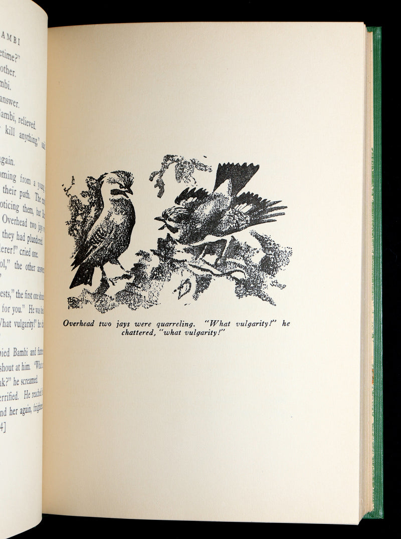 1928 Rare First Edition - BAMBI a Life in the Woods by Felix Salten, Illustrated