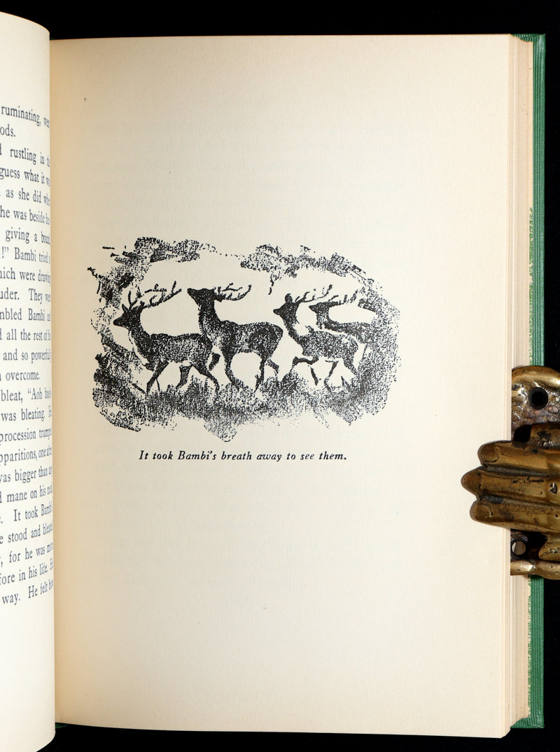 1928 Rare First Edition - BAMBI a Life in the Woods by Felix Salten, Illustrated