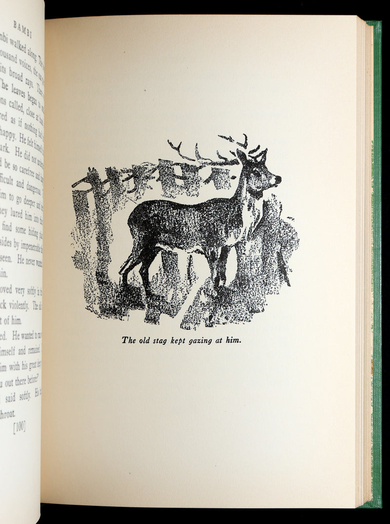 1928 Rare First Edition - BAMBI a Life in the Woods by Felix Salten, Illustrated