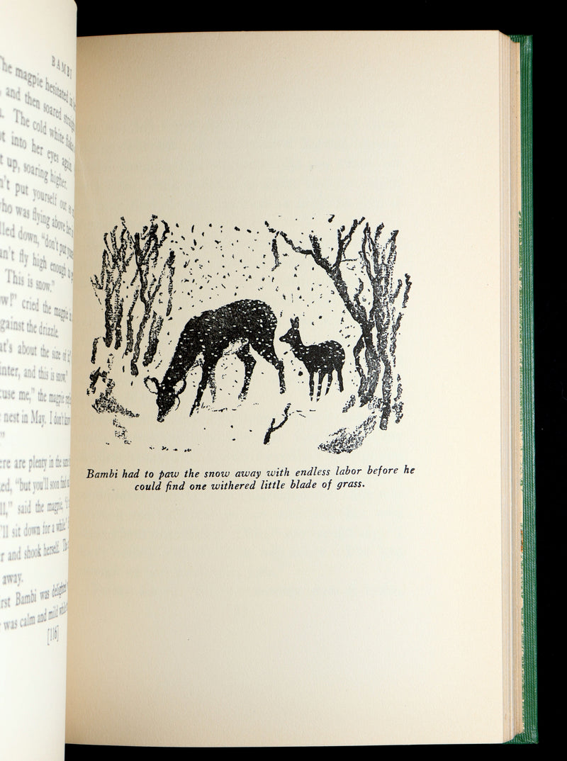 1928 Rare First Edition - BAMBI a Life in the Woods by Felix Salten, Illustrated