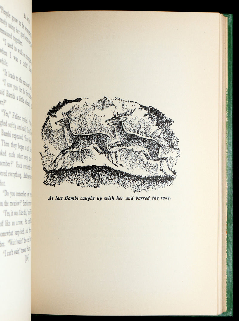 1928 Rare First Edition - BAMBI a Life in the Woods by Felix Salten, Illustrated