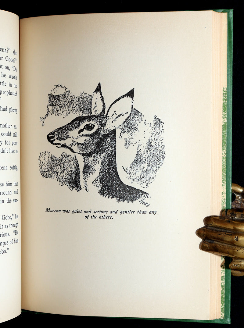 1928 Rare First Edition - BAMBI a Life in the Woods by Felix Salten, Illustrated