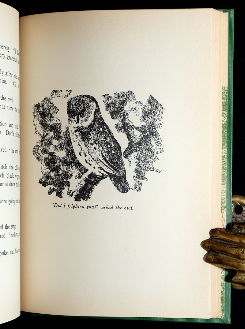 1928 Rare First Edition - BAMBI a Life in the Woods by Felix Salten, Illustrated
