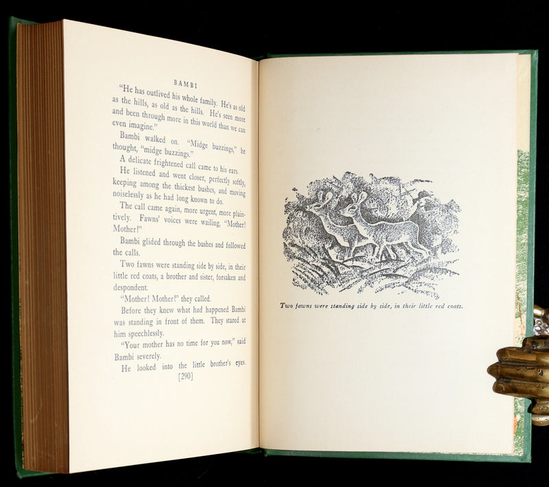 1928 Rare First Edition - BAMBI a Life in the Woods by Felix Salten, Illustrated