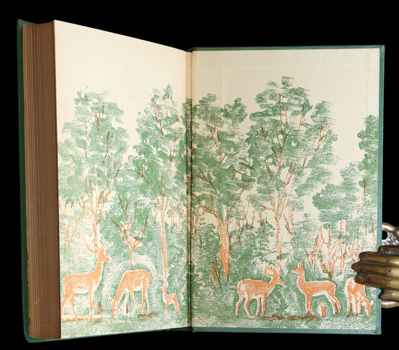 1928 Rare First Edition - BAMBI a Life in the Woods by Felix Salten, Illustrated