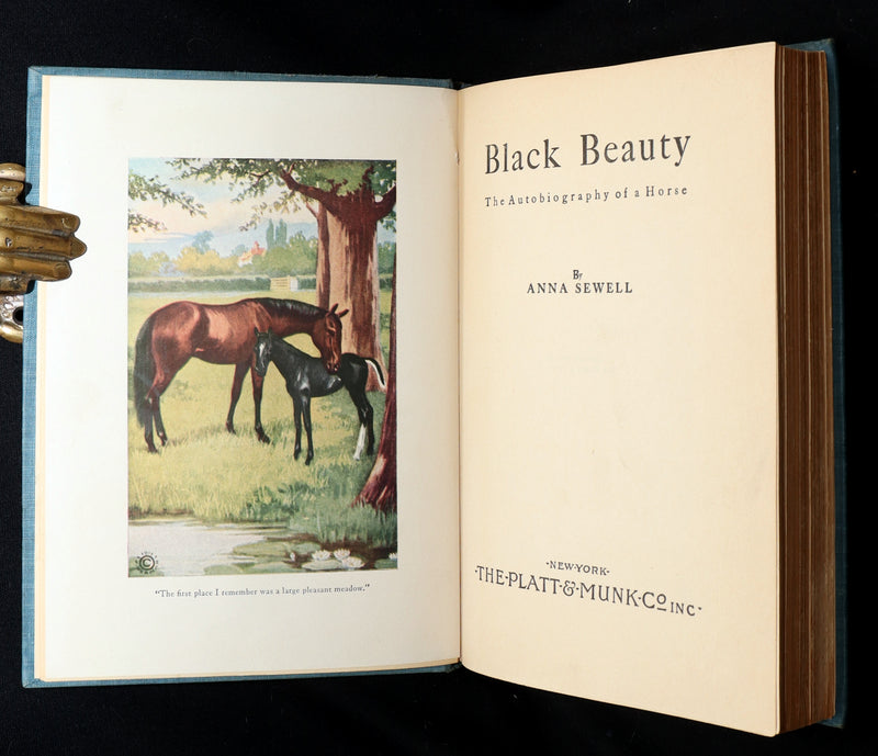 1911 Scarce Edition with Dust Jacket - Black Beauty The Autobiography of a Horse