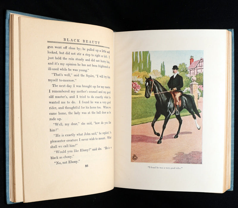 1911 Scarce Edition with Dust Jacket - Black Beauty The Autobiography of a Horse