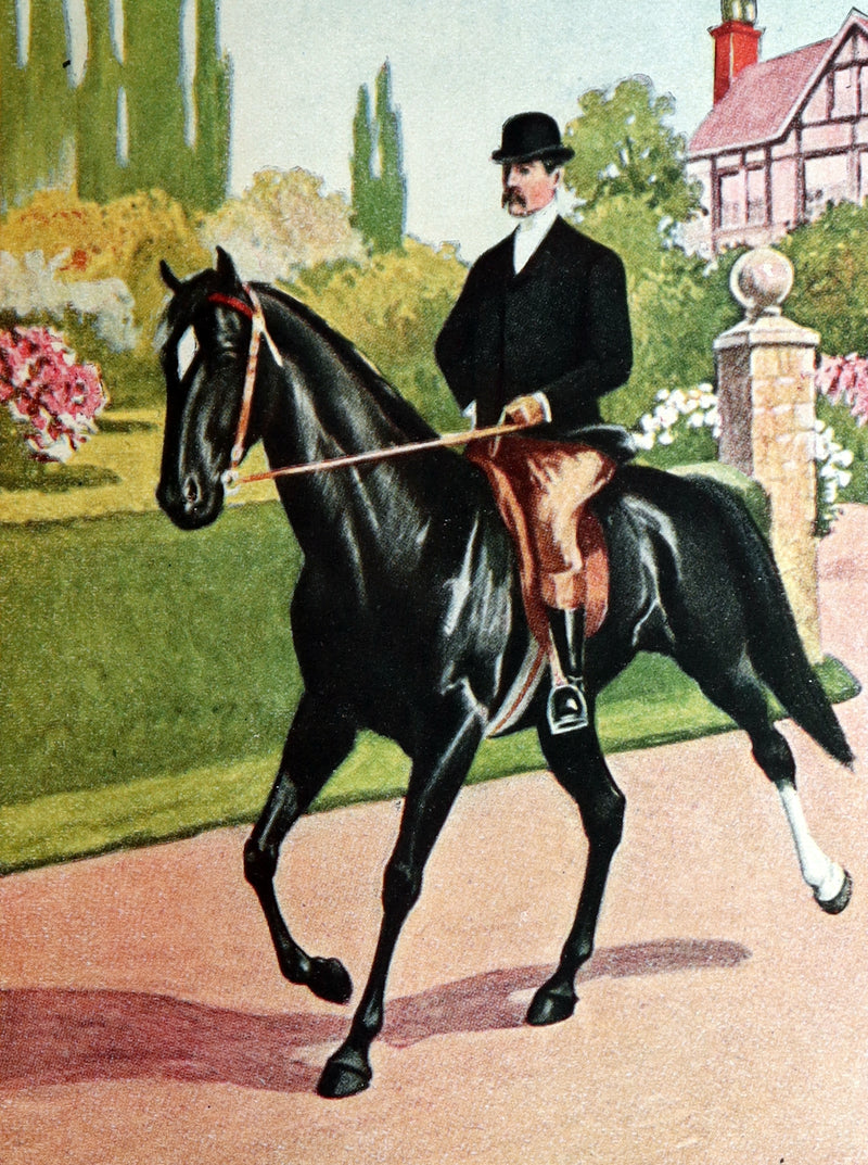 1911 Scarce Edition with Dust Jacket - Black Beauty The Autobiography of a Horse