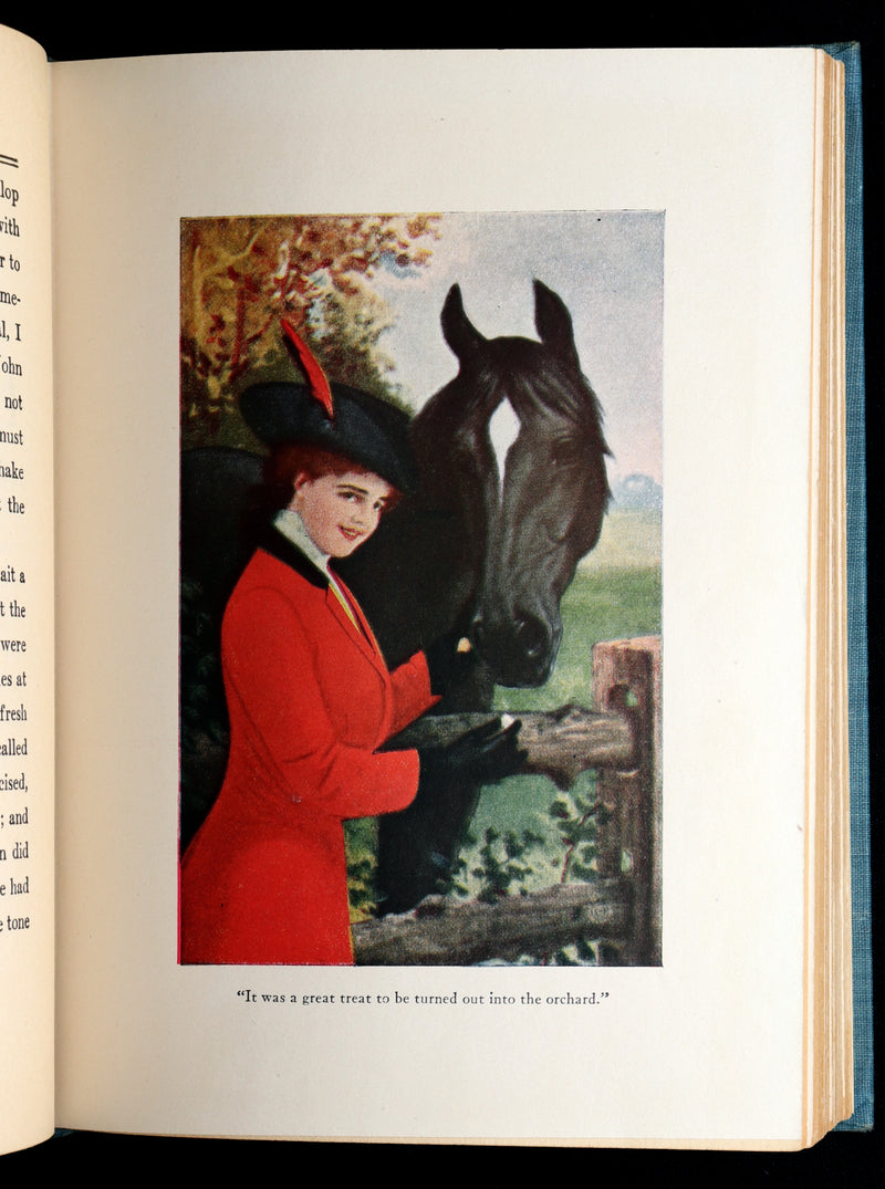 1911 Scarce Edition with Dust Jacket - Black Beauty The Autobiography of a Horse