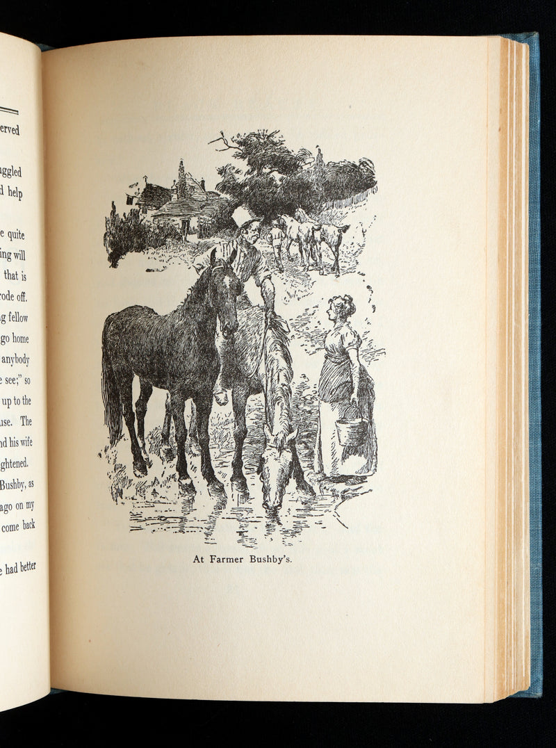 1911 Scarce Edition with Dust Jacket - Black Beauty The Autobiography of a Horse