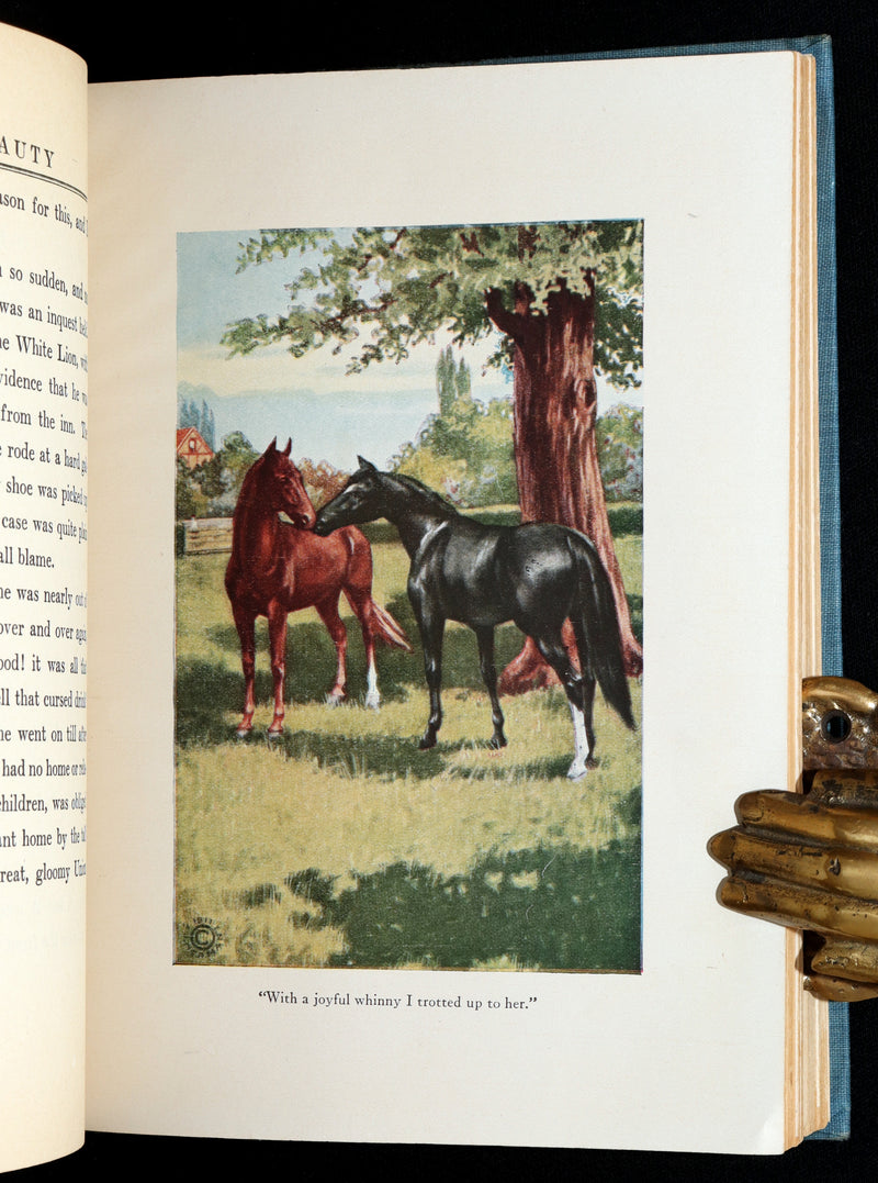 1911 Scarce Edition with Dust Jacket - Black Beauty The Autobiography of a Horse
