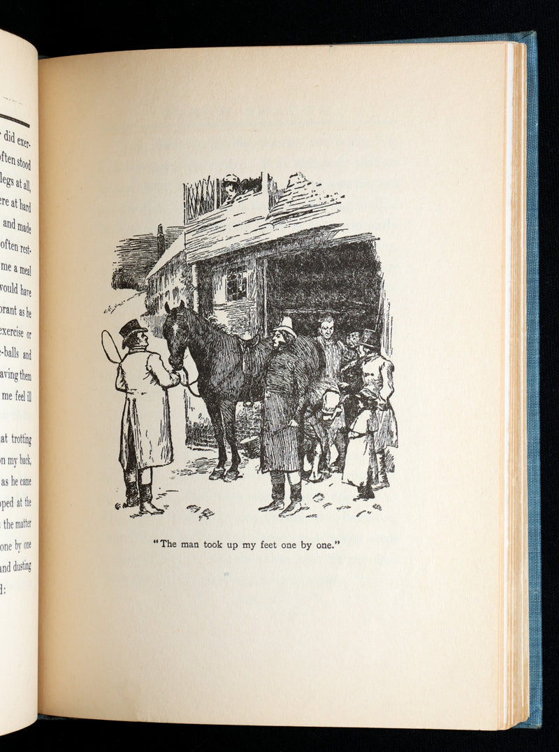 1911 Scarce Edition with Dust Jacket - Black Beauty The Autobiography of a Horse