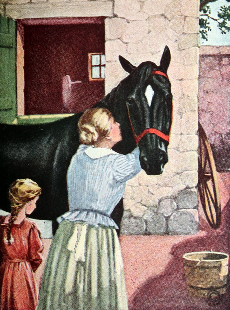 1911 Scarce Edition with Dust Jacket - Black Beauty The Autobiography of a Horse