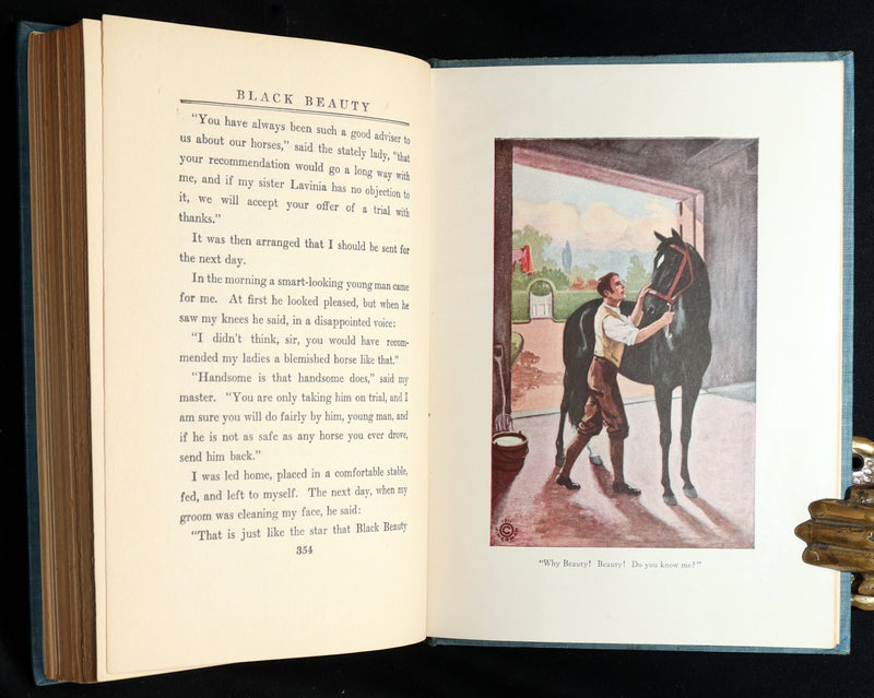 1911 Scarce Edition with Dust Jacket - Black Beauty The Autobiography of a Horse