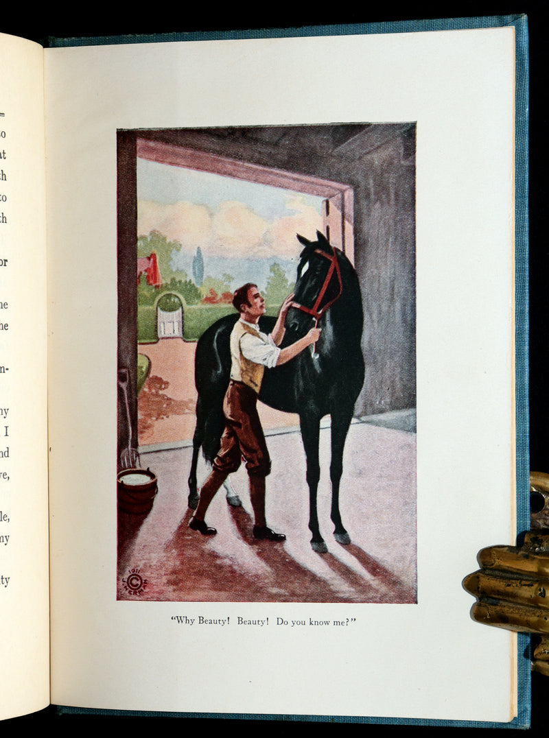 1911 Scarce Edition with Dust Jacket - Black Beauty The Autobiography of a Horse