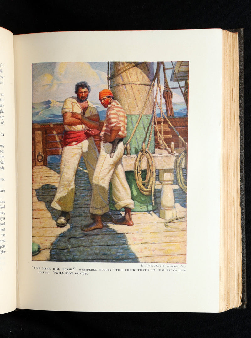 1923 Rare Book - Moby Dick or The White Whale illustrated by Mead Schaeffer