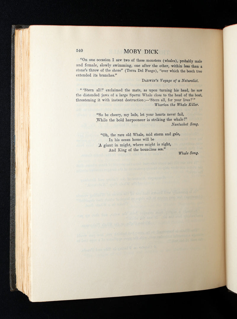 1923 Rare Book - Moby Dick or The White Whale illustrated by Mead Schaeffer