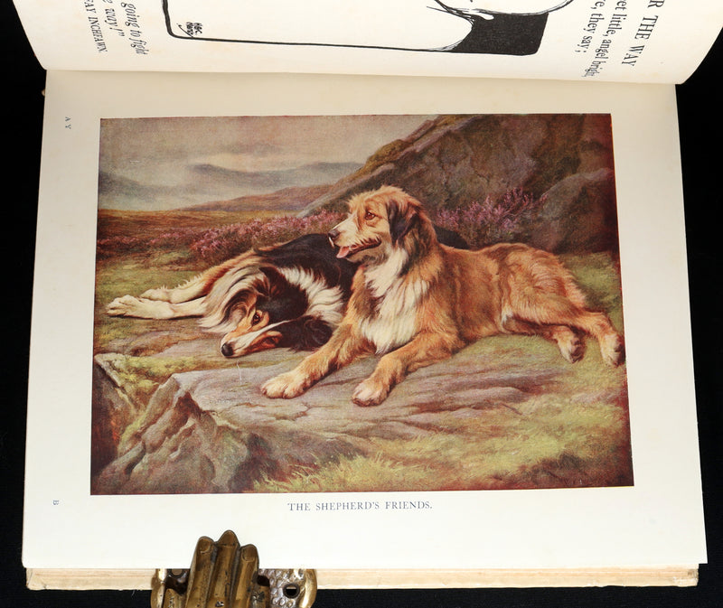1922 Rare Book - The After You Story Book, Profusely Illustrated