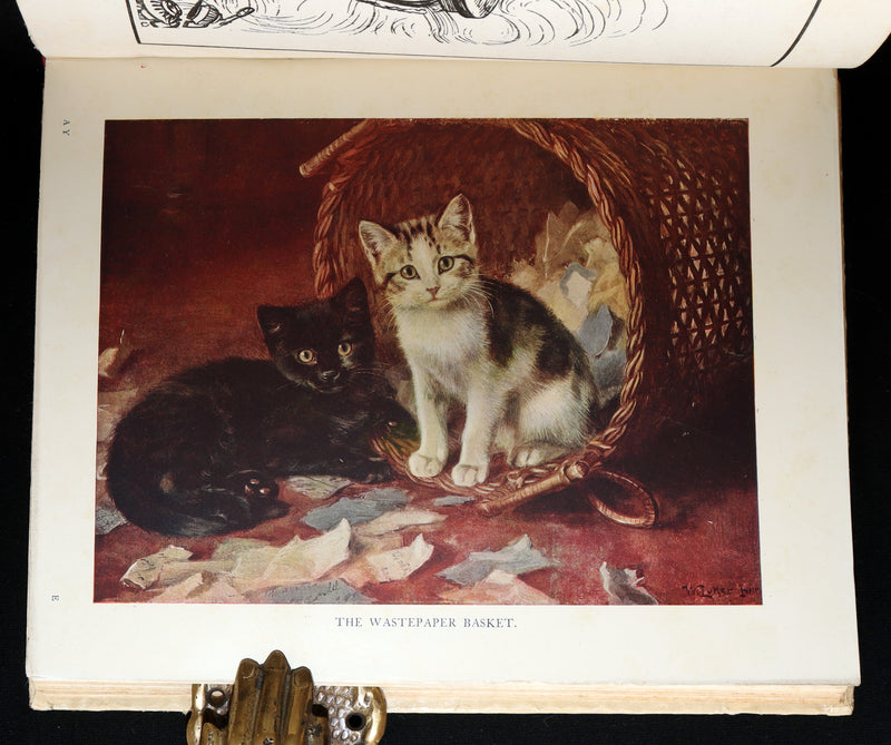 1922 Rare Book - The After You Story Book, Profusely Illustrated