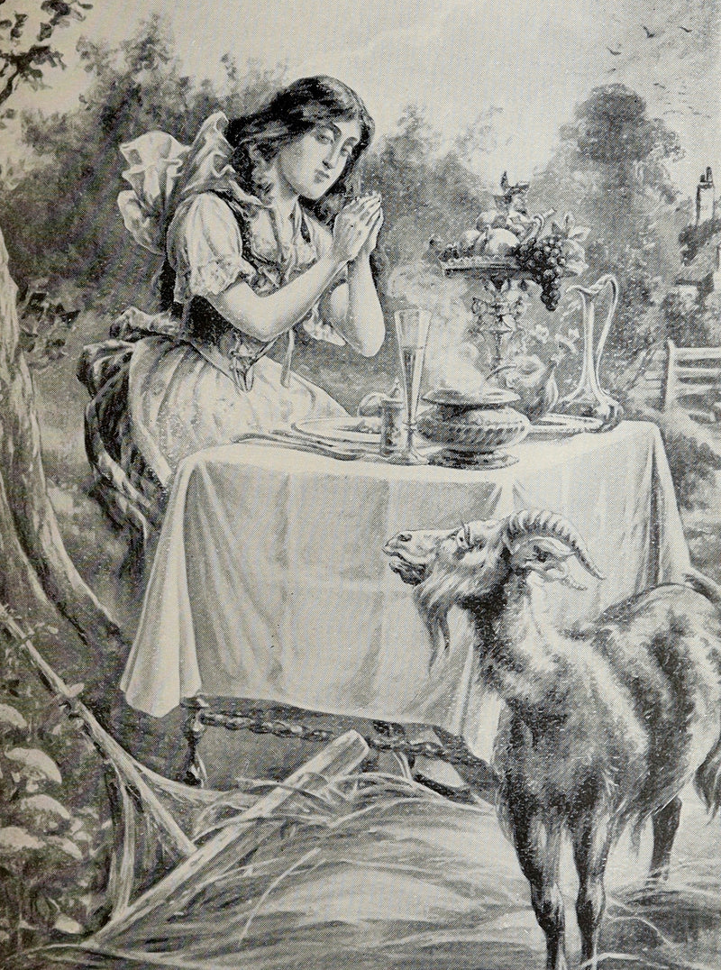 1900 Rare Book - Grimm’s Fairy Stories for Children and the Household