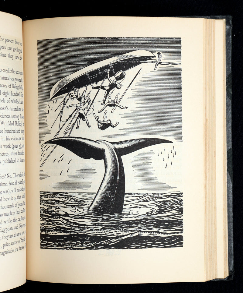 1930 Rare First Edition - Moby Dick by Melville illustrated by Rockwell Kent