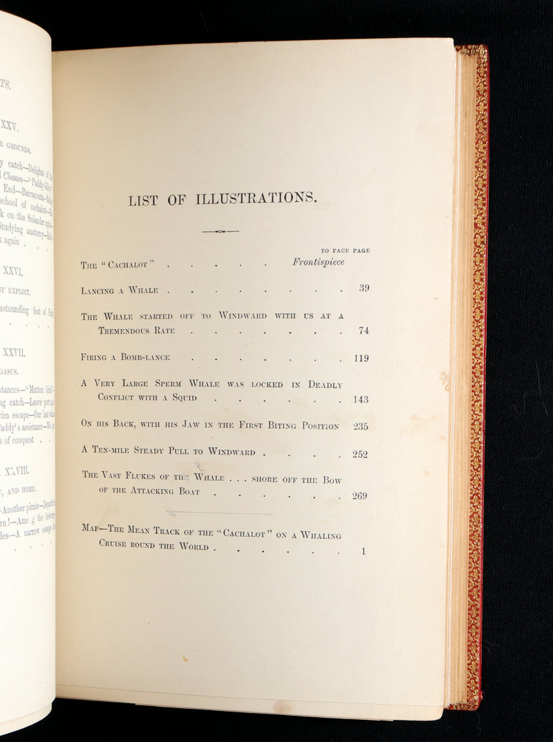 1898 First Edition - The Cruise of the Cachalot Round the World After Whales