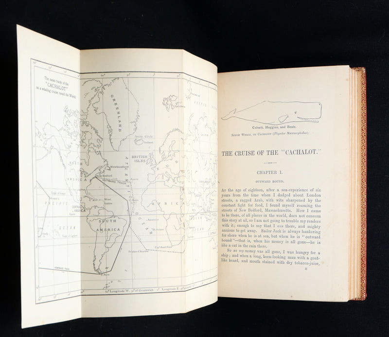 1898 First Edition - The Cruise of the Cachalot Round the World After Whales