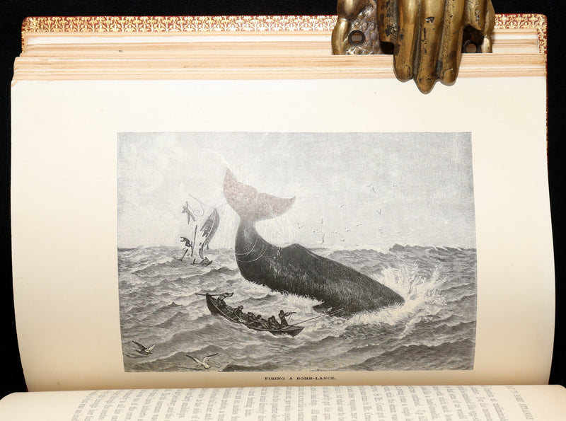 1898 First Edition - The Cruise of the Cachalot Round the World After Whales