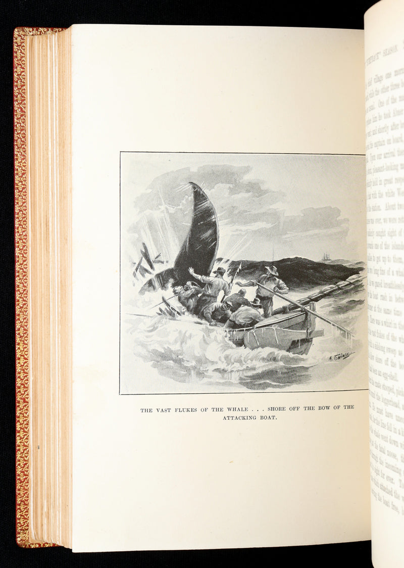 1898 First Edition - The Cruise of the Cachalot Round the World After Whales