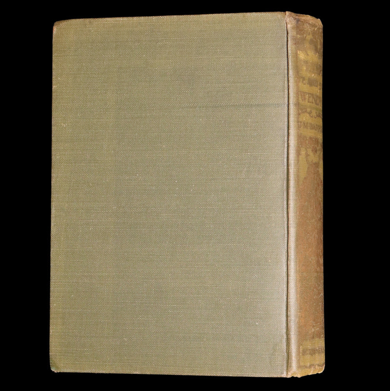 1911 Rare Peter Pan First Edition - Peter and Wendy by James Matthew Barrie
