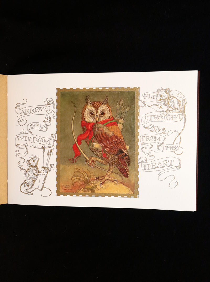 2021 Rare book - Animal Wisdom written and illustrated by Charles van Sandwyk