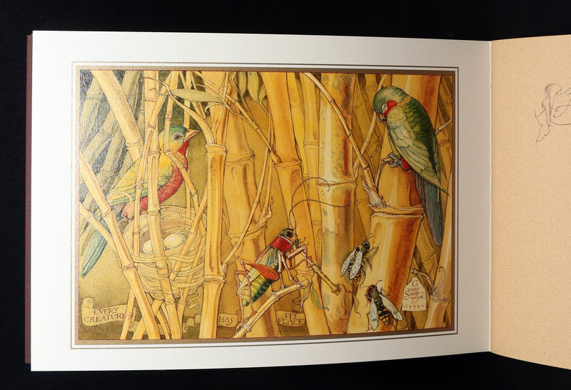 2021 Rare book - Animal Wisdom written and illustrated by Charles van Sandwyk