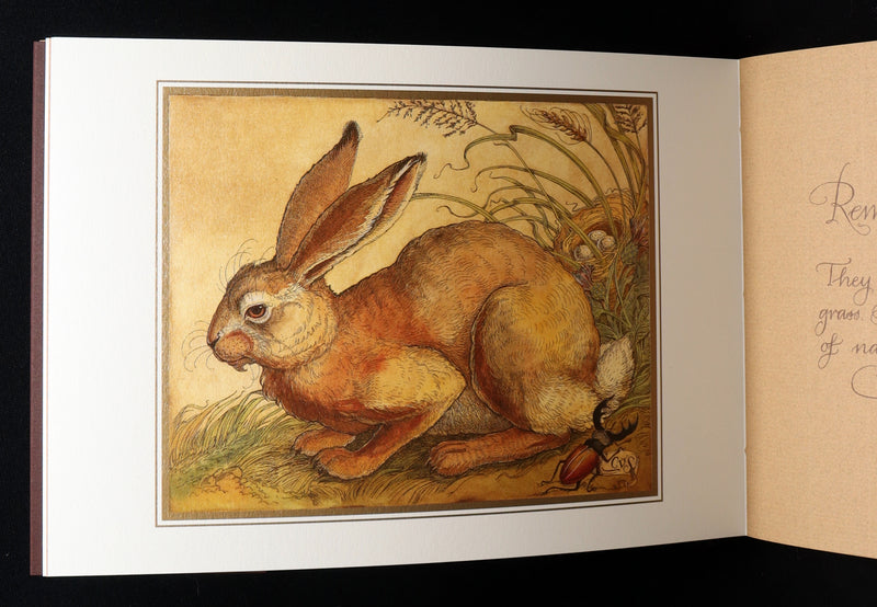 2021 Rare book - Animal Wisdom written and illustrated by Charles van Sandwyk