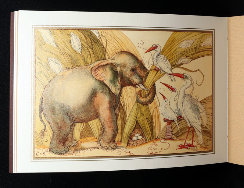 2021 Rare book - Animal Wisdom written and illustrated by Charles van Sandwyk