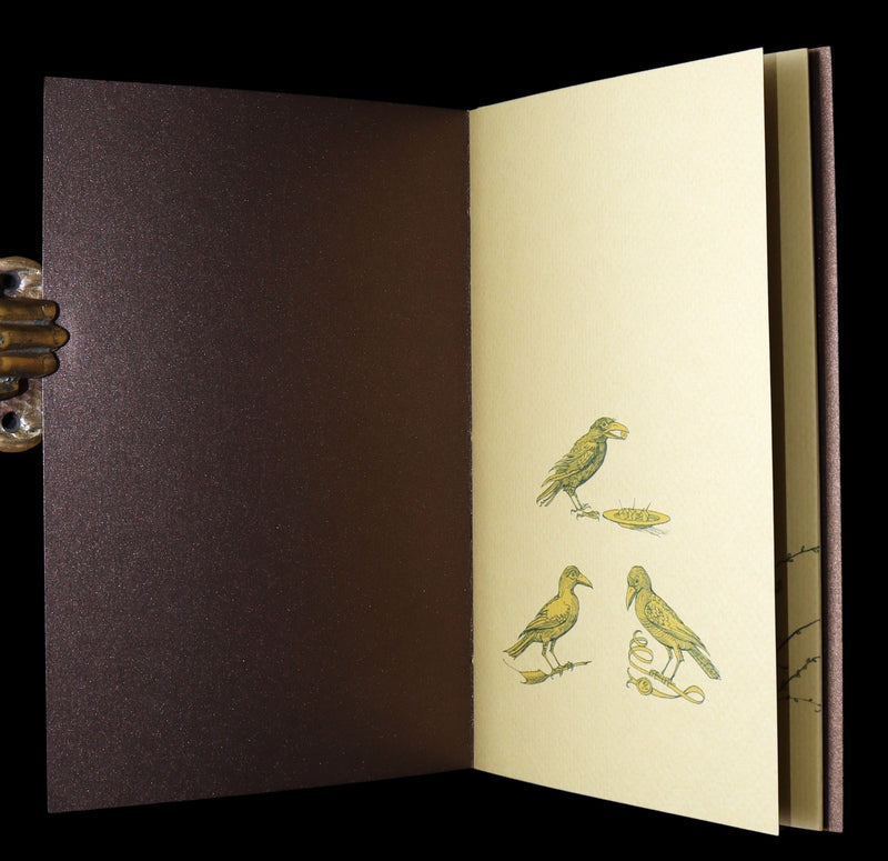 2018 Scarce Triptych - Splendid Crow Field Guide to Decent Humans by van Sandwyk