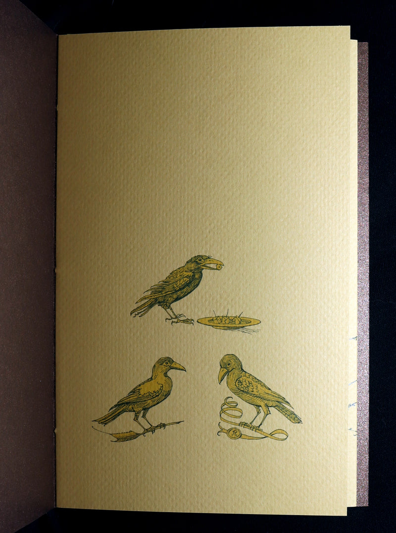 2018 Scarce Triptych - Splendid Crow Field Guide to Decent Humans by van Sandwyk