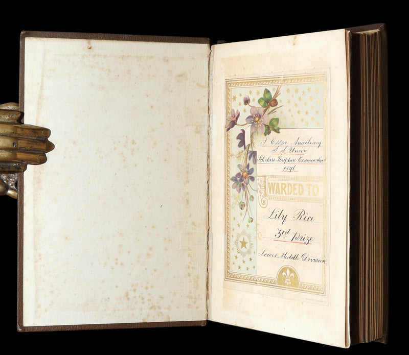 1880 Rare Victorian Book - The Lamplighter by Maria Susanna Cummins