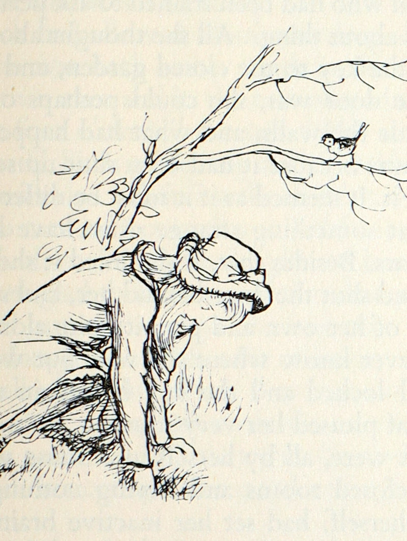1956 First Illustrated Edition by Shepard - The Secret Garden by F.H. Burnett