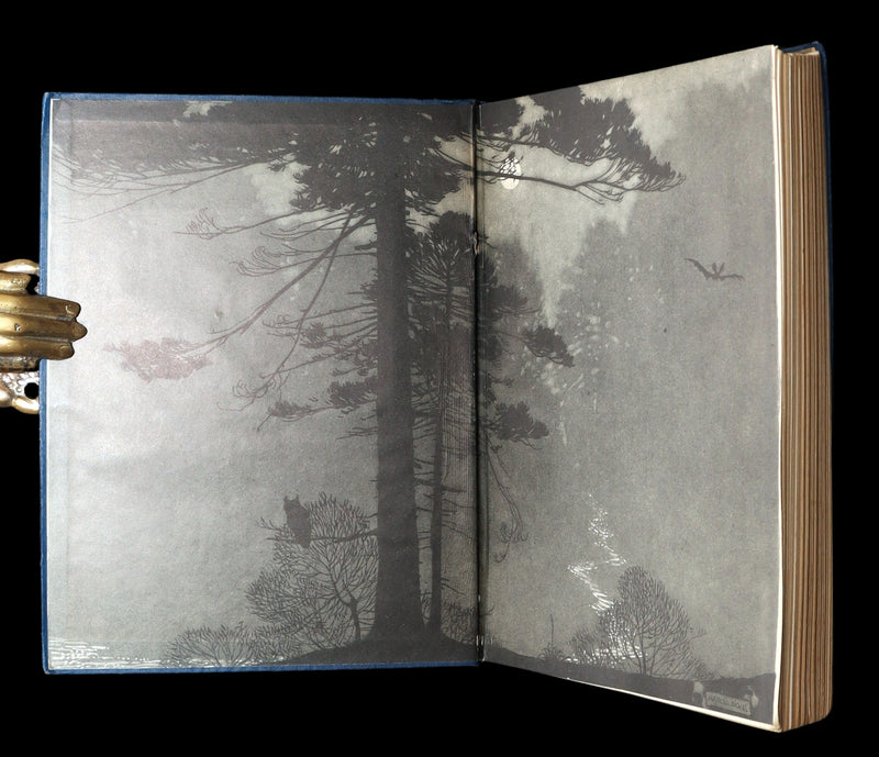 1914 Scarce First Edition - The Forest Ring by William C. De Mille, illustrated