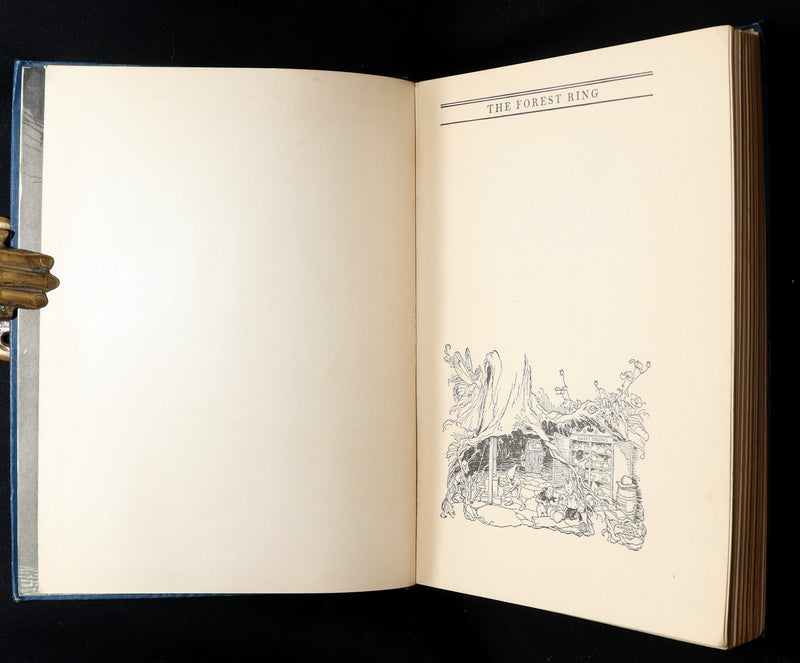 1914 Scarce First Edition - The Forest Ring by William C. De Mille, illustrated