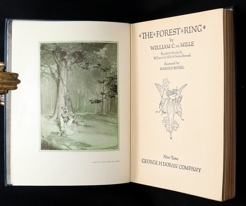 1914 Scarce First Edition - The Forest Ring by William C. De Mille, illustrated
