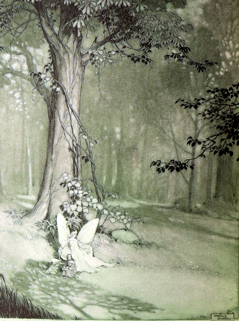 1914 Scarce First Edition - The Forest Ring by William C. De Mille, illustrated