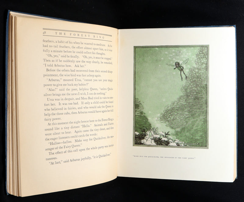 1914 Scarce First Edition - The Forest Ring by William C. De Mille, illustrated