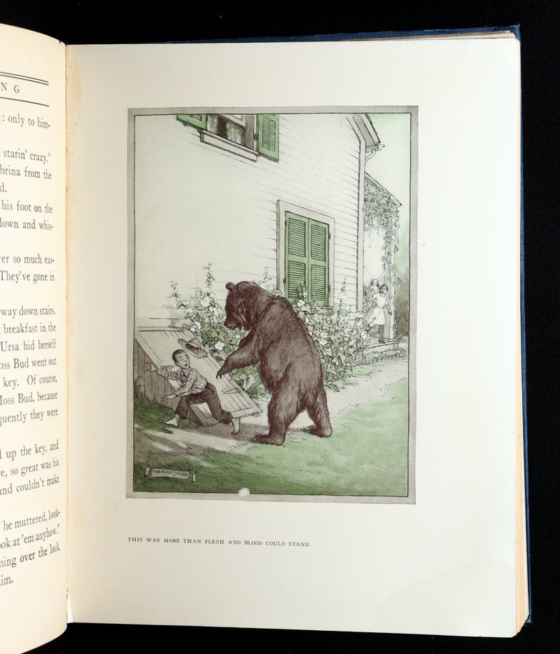 1914 Scarce First Edition - The Forest Ring by William C. De Mille, illustrated