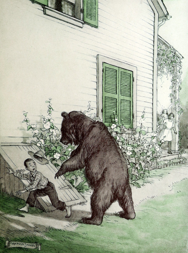 1914 Scarce First Edition - The Forest Ring by William C. De Mille, illustrated