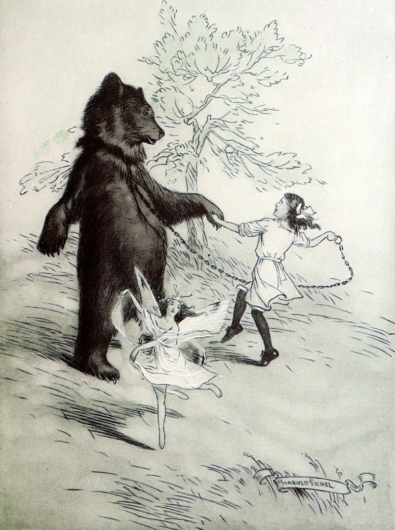 1914 Scarce First Edition - The Forest Ring by William C. De Mille, illustrated