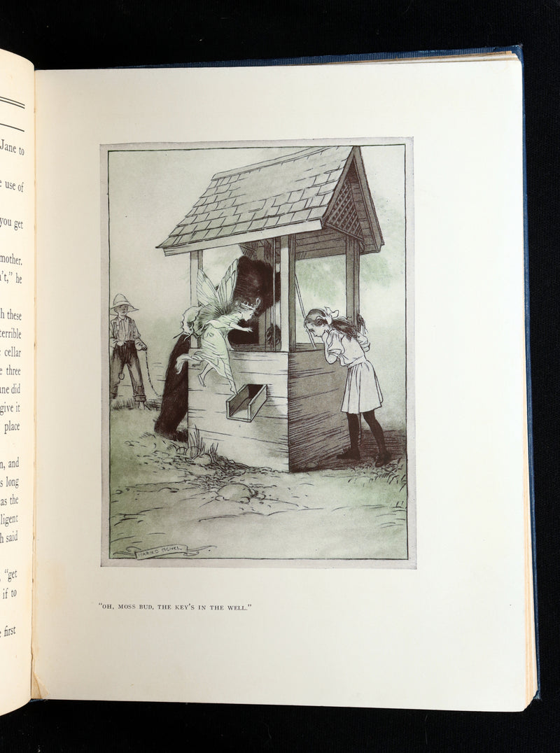 1914 Scarce First Edition - The Forest Ring by William C. De Mille, illustrated