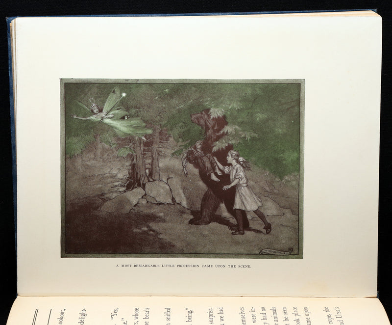 1914 Scarce First Edition - The Forest Ring by William C. De Mille, illustrated